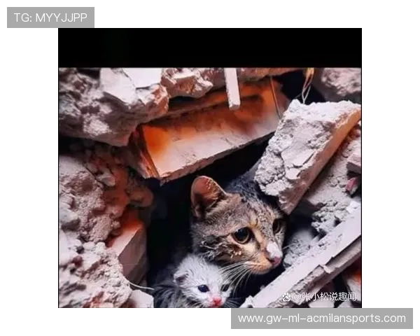 经典瞬间：最令人感动的逆转画面！，瞬间让人感动